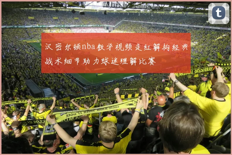 汉密尔顿nba教学视频走红解构经典战术细节助力球迷理解比赛